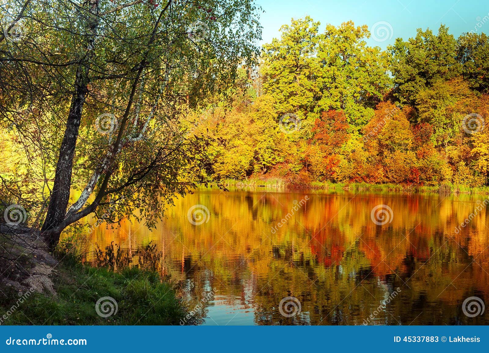 Sunny Day In Outdoor Park With Autumn Trees Reflection Stock Photo ...