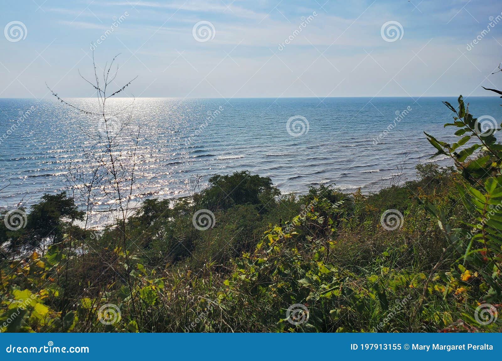 sunny days along lake erie shores