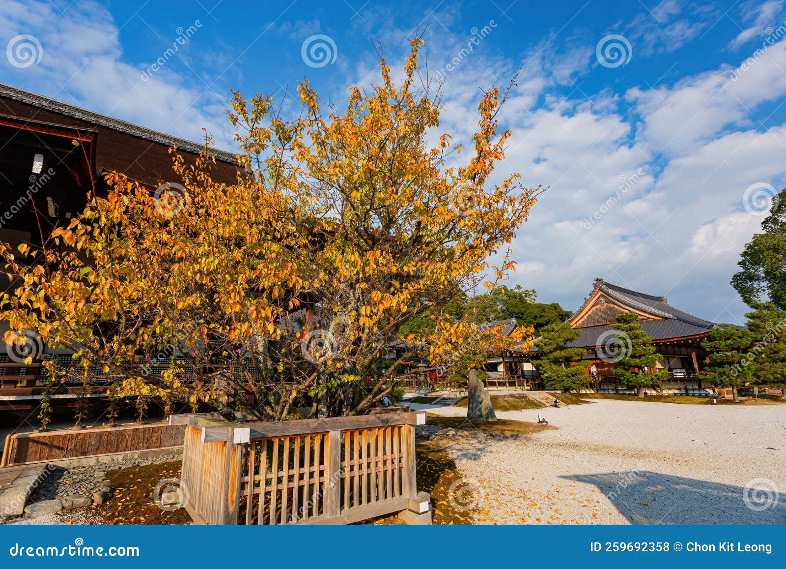 sunny exterior view of the daikaku-ji