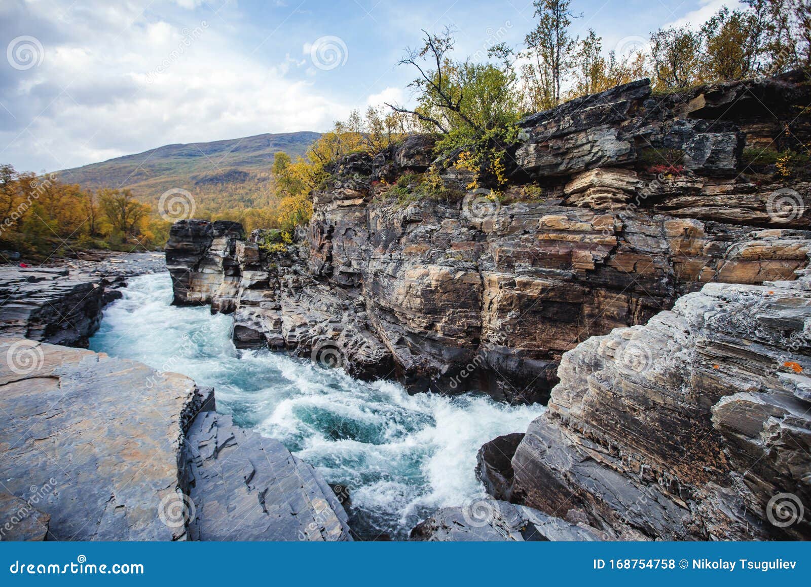 sunny fall autumn view of abisko national park, kiruna municipality, lapland, norrbotten county, sweden, with abiskojokk river,