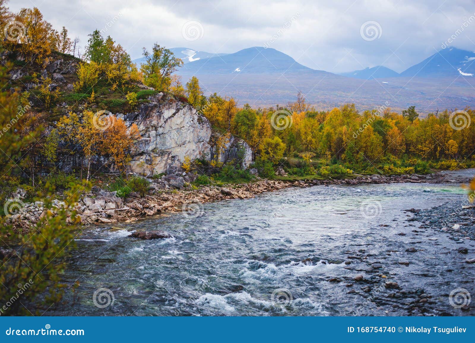 sunny fall autumn view of abisko national park, kiruna municipality, lapland, norrbotten county, sweden, with abiskojokk river,