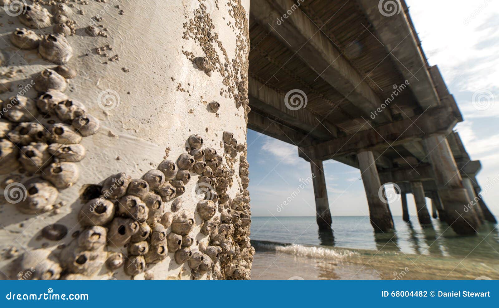 Florida Ocean Peir Stock Photos - Free & Royalty-Free Stock Photos