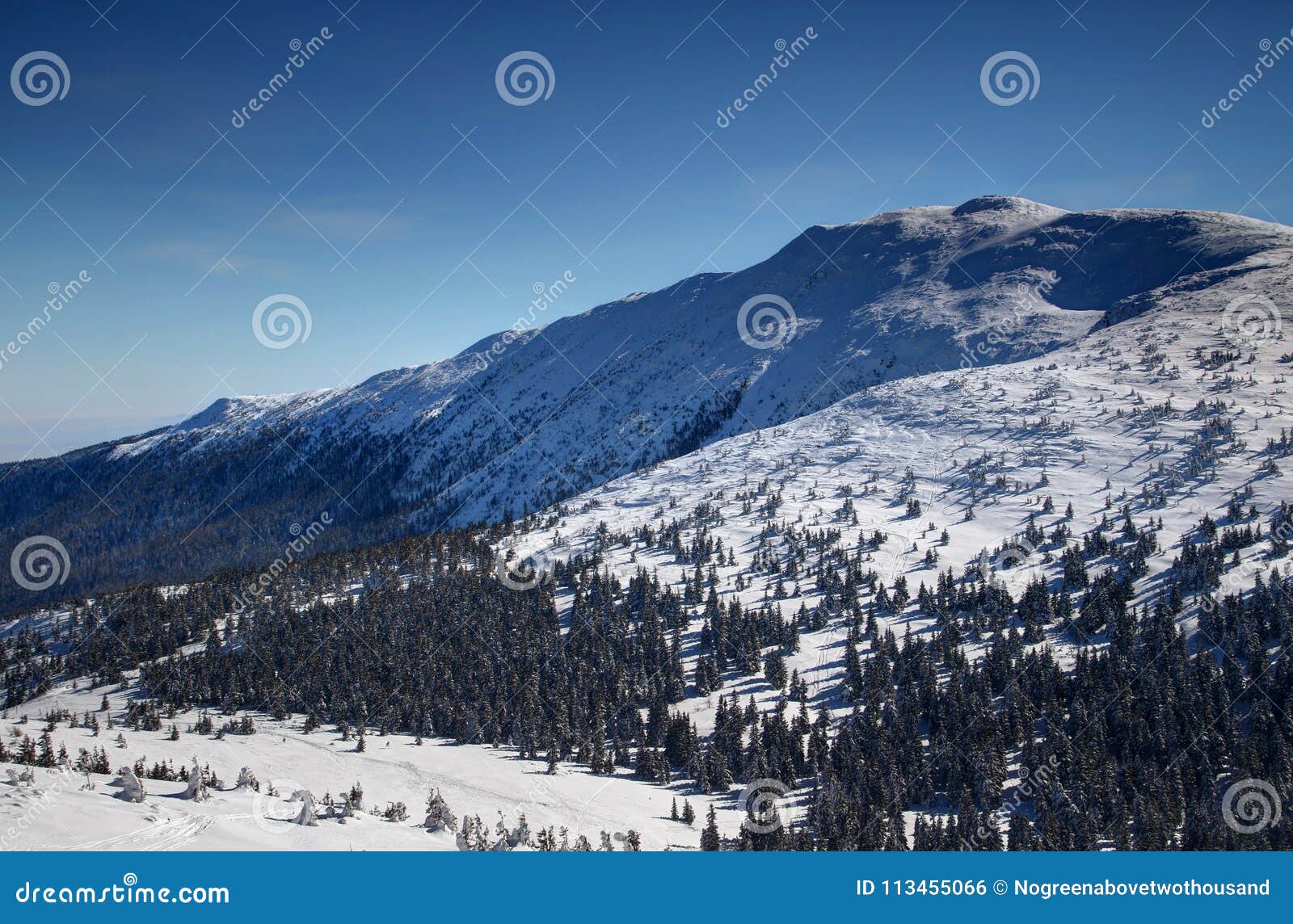 sunny forests and barren snowfields on babia gora peak poland