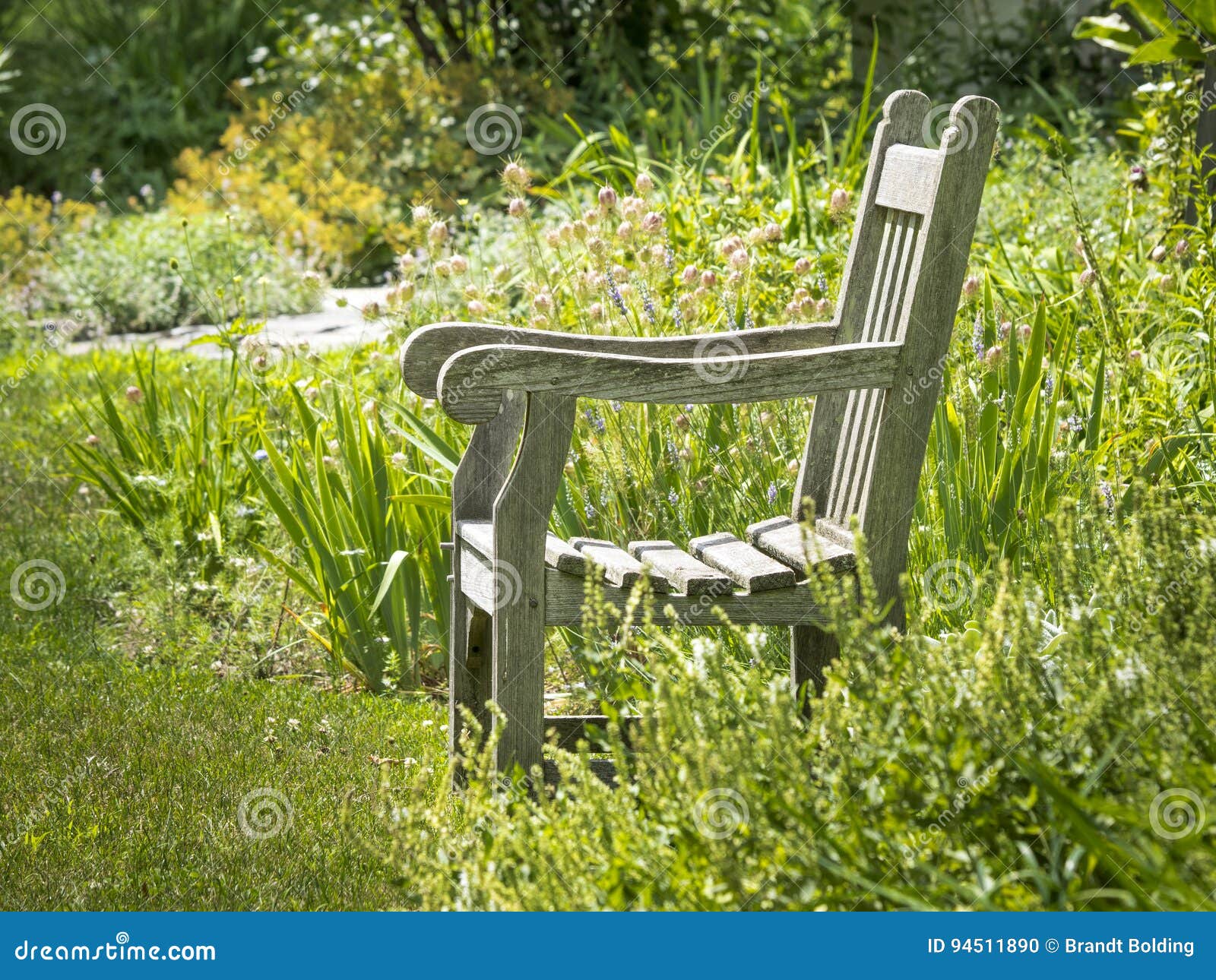 Sunny Garden Chair Stock Photo Image Of Solitude Summer 94511890