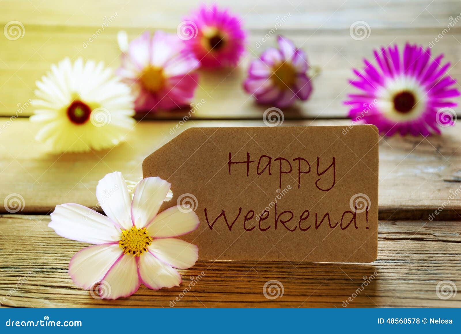 sunny label text happy weekend with cosmea blossoms