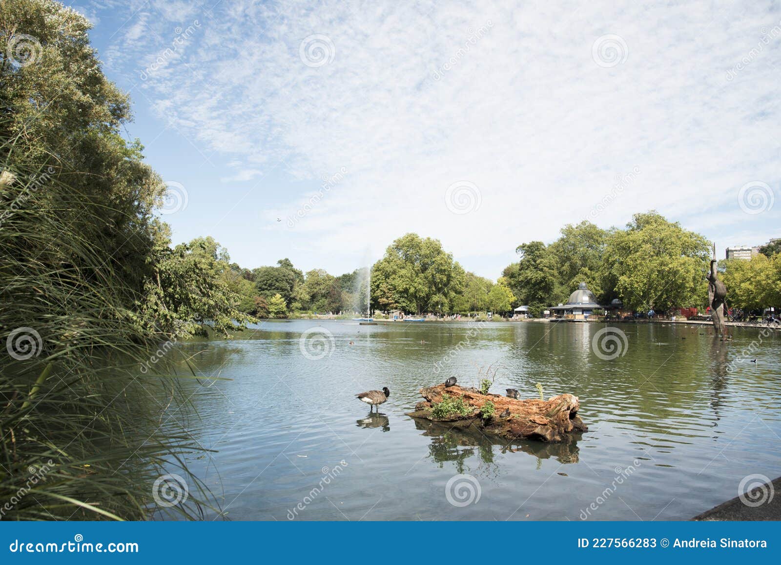 sunny morning at the park