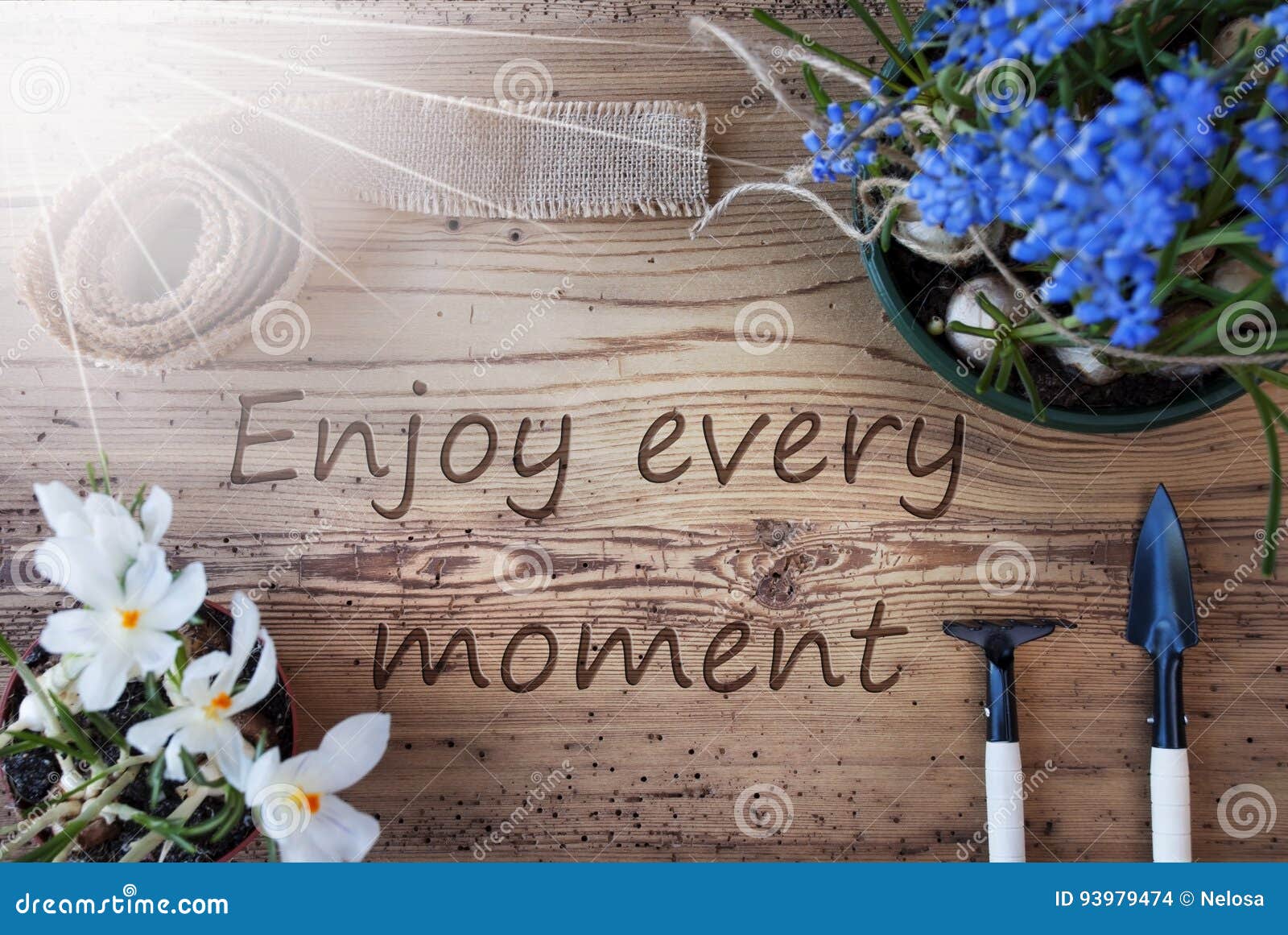 Sunny Spring Flowers, Citaat Geniet Van Elk Ogenblik Stock