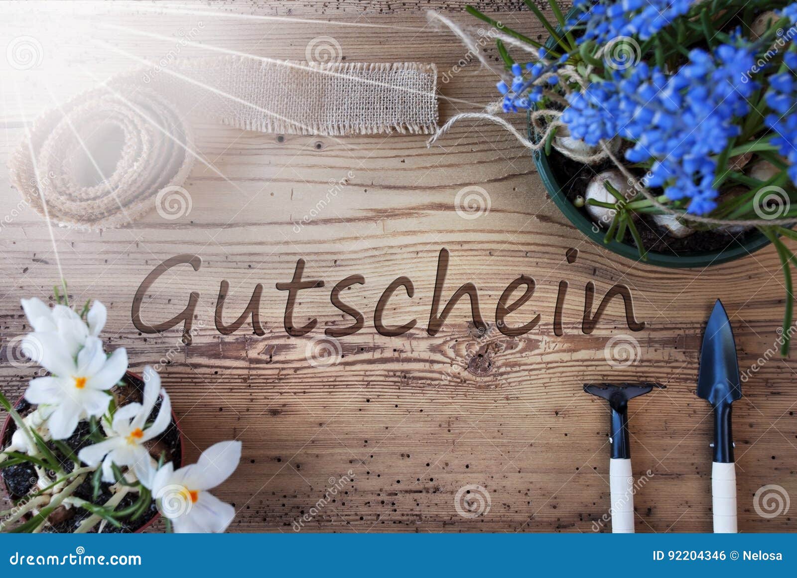 Sunny Spring Flowers Gutschein Bedeutet Beleg Stockfoto Bild Von Gutschein Flowers 92204346