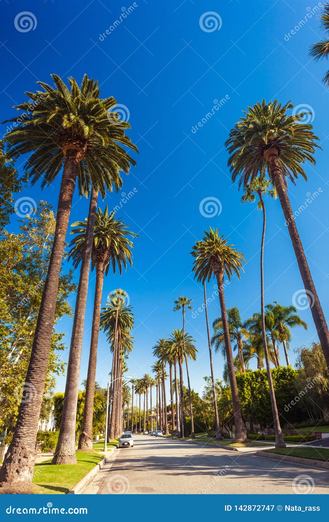 Sunny Street In Alsace Old Town, Riquewihr Stock Image CartoonDealer
