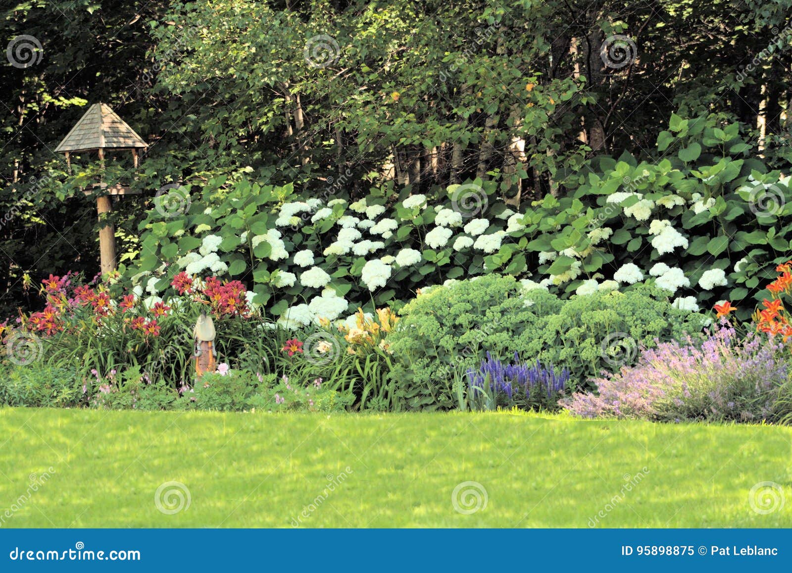 Sunny Summer Perennial Border Stock Image - Image of plants, lavender:  95898875
