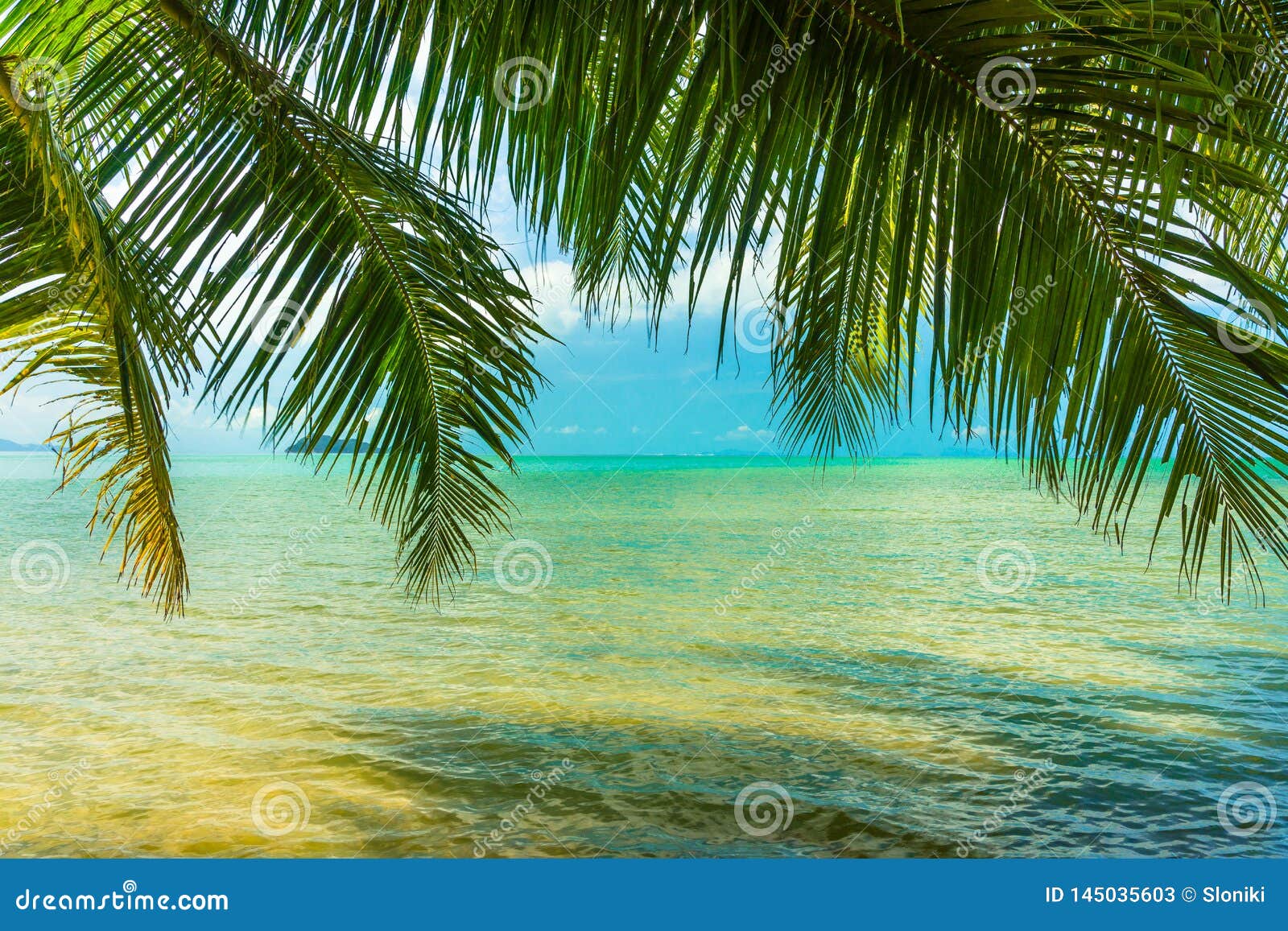 Sunny Tropical Beach Turquoise Thailand Sea With Palm Trees Stock