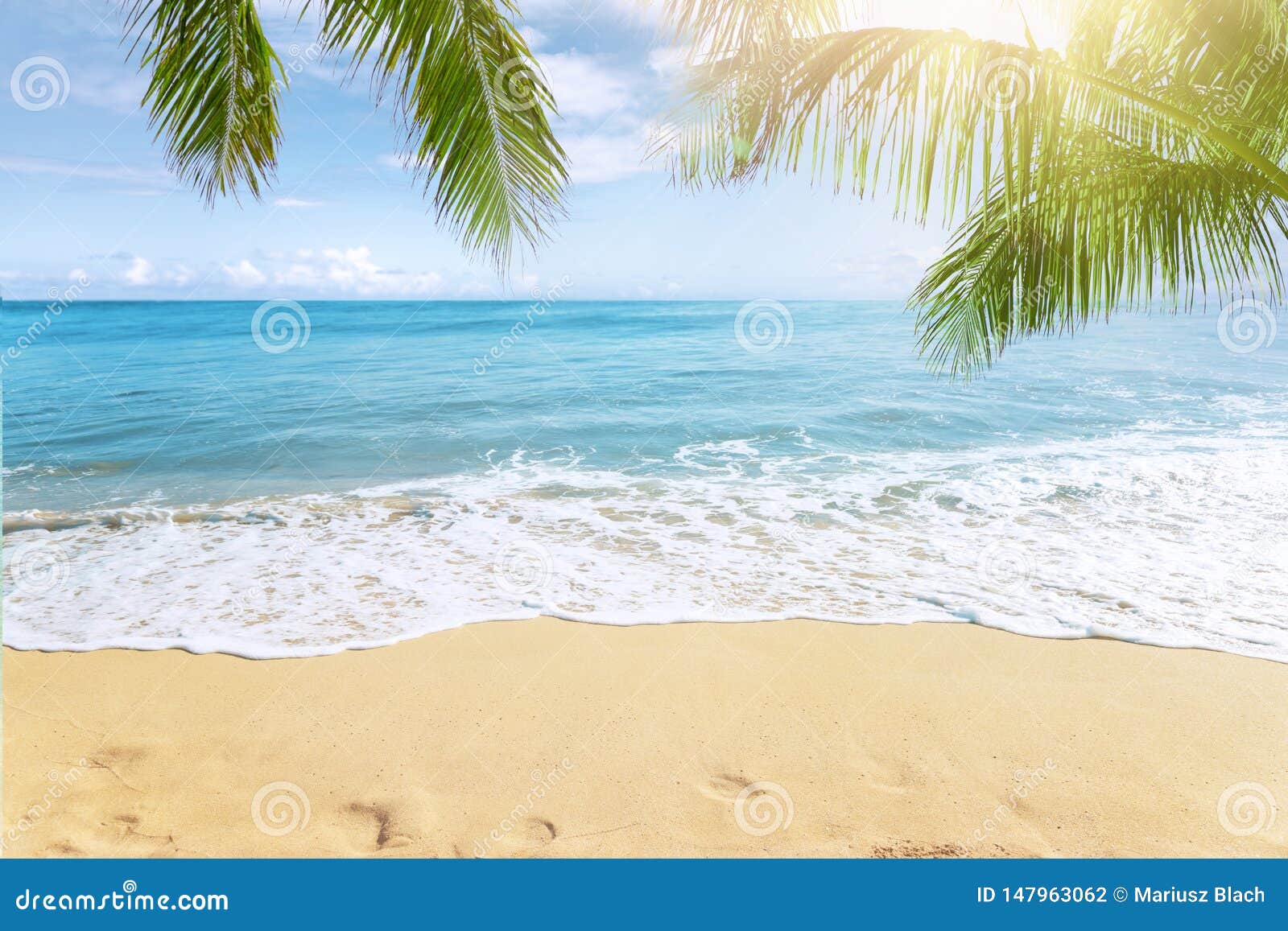 sunny tropical beach with palm trees