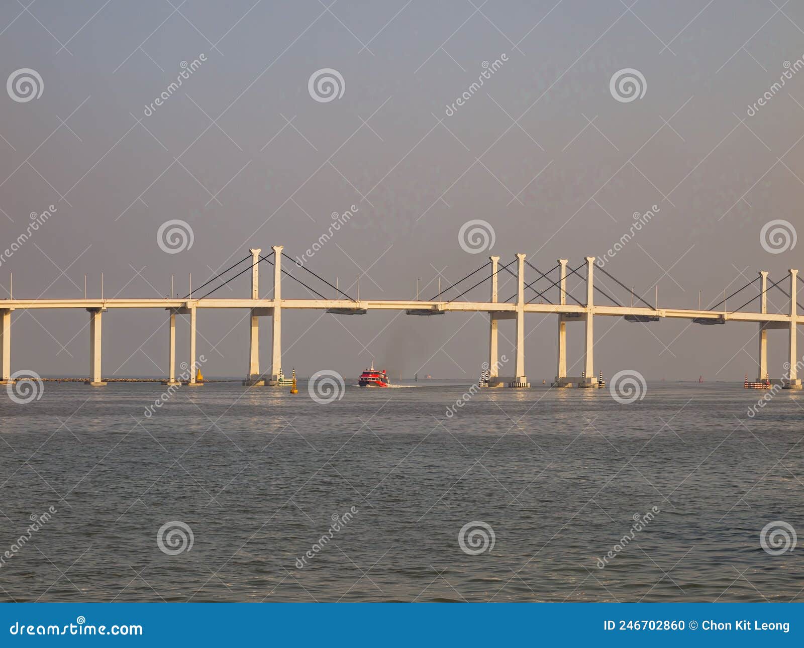 sunny view of the amizade bridge