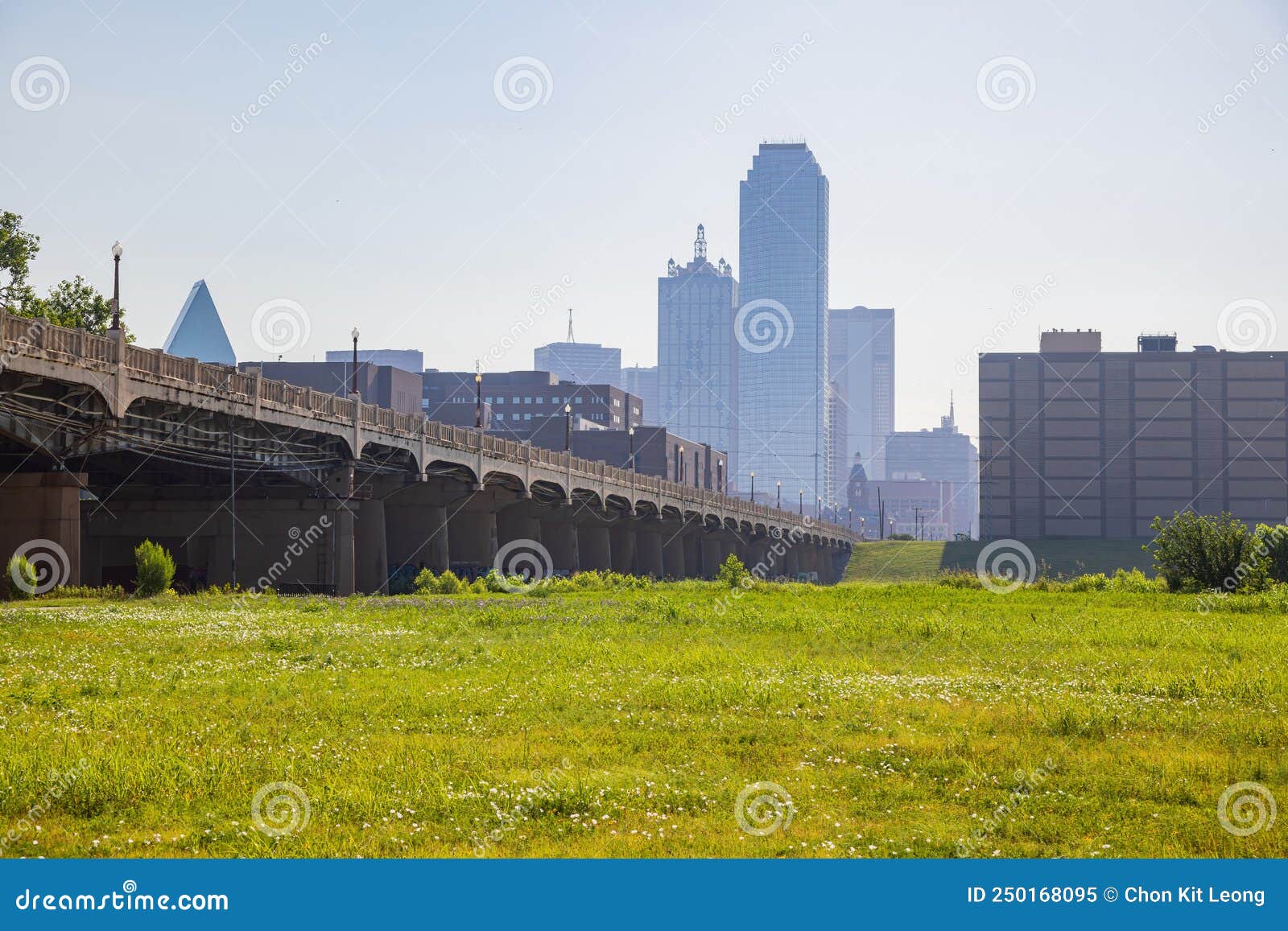 Sunny View of the Dallas Skyline from Trinity Overlook Park Stock Image