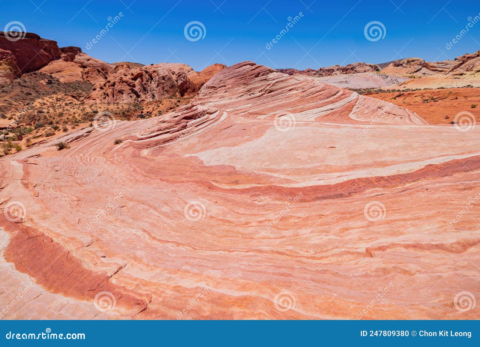 Sunny View of the Firewave of Valley of Fire State Park Editorial Image