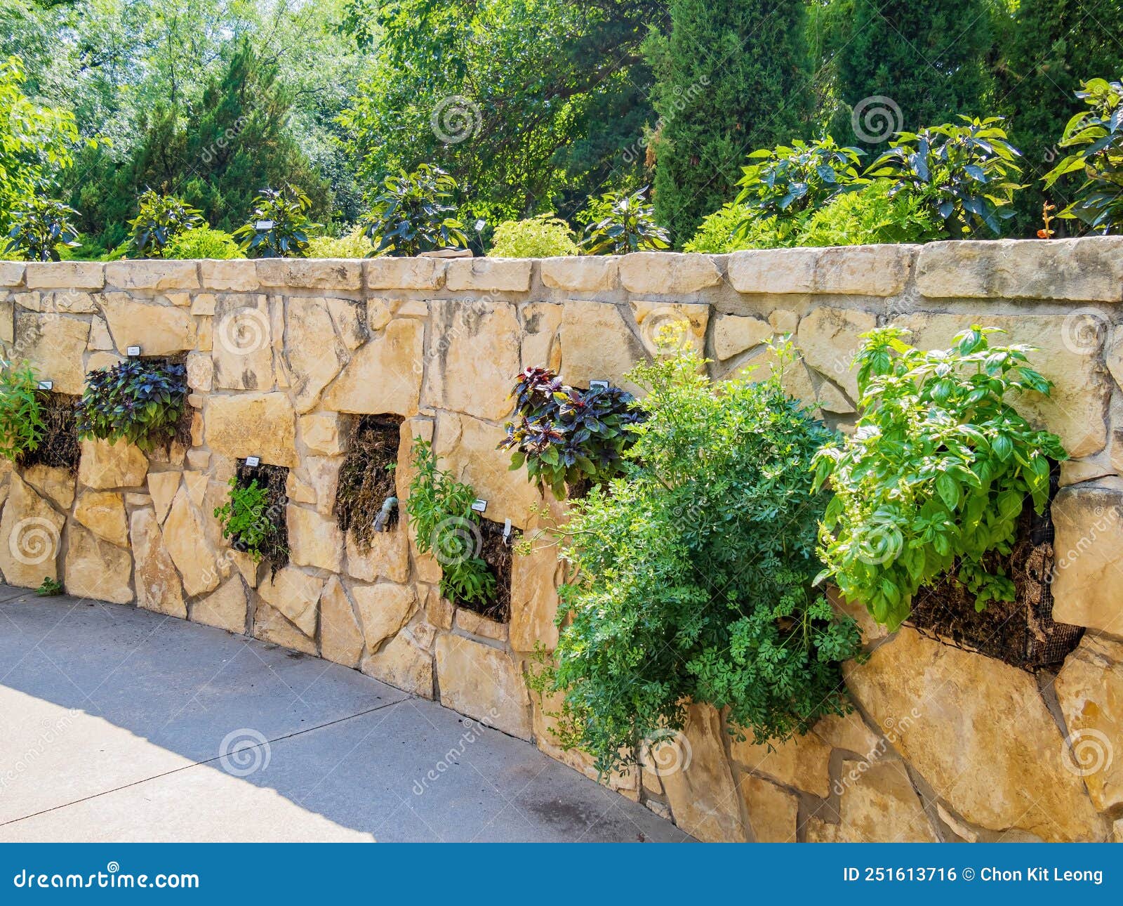 sunny view of the landscape in botanica, the wichita gardens