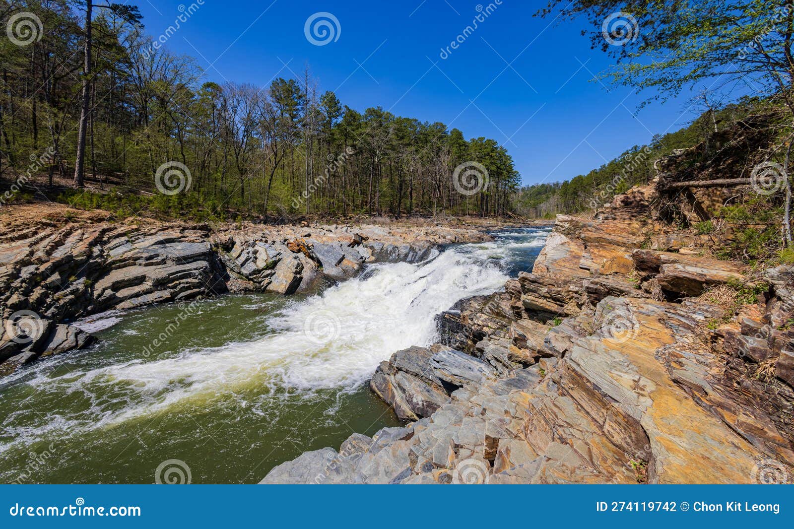 Sunny View of the Landscape of Friends Trail Loop Trail in Beavers Bend State Park Stock Photo