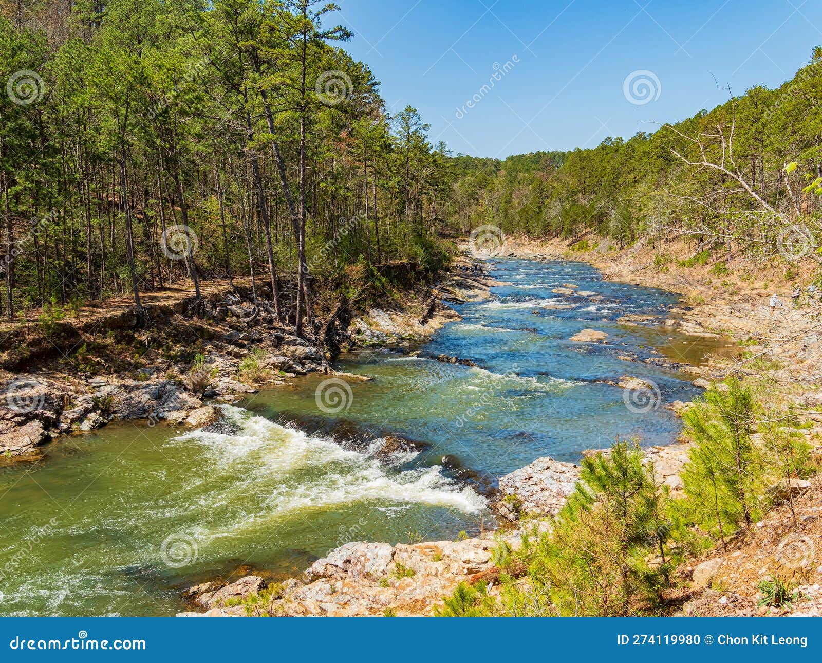 Sunny View of the Landscape of Friends Trail Loop Trail in Beavers Bend