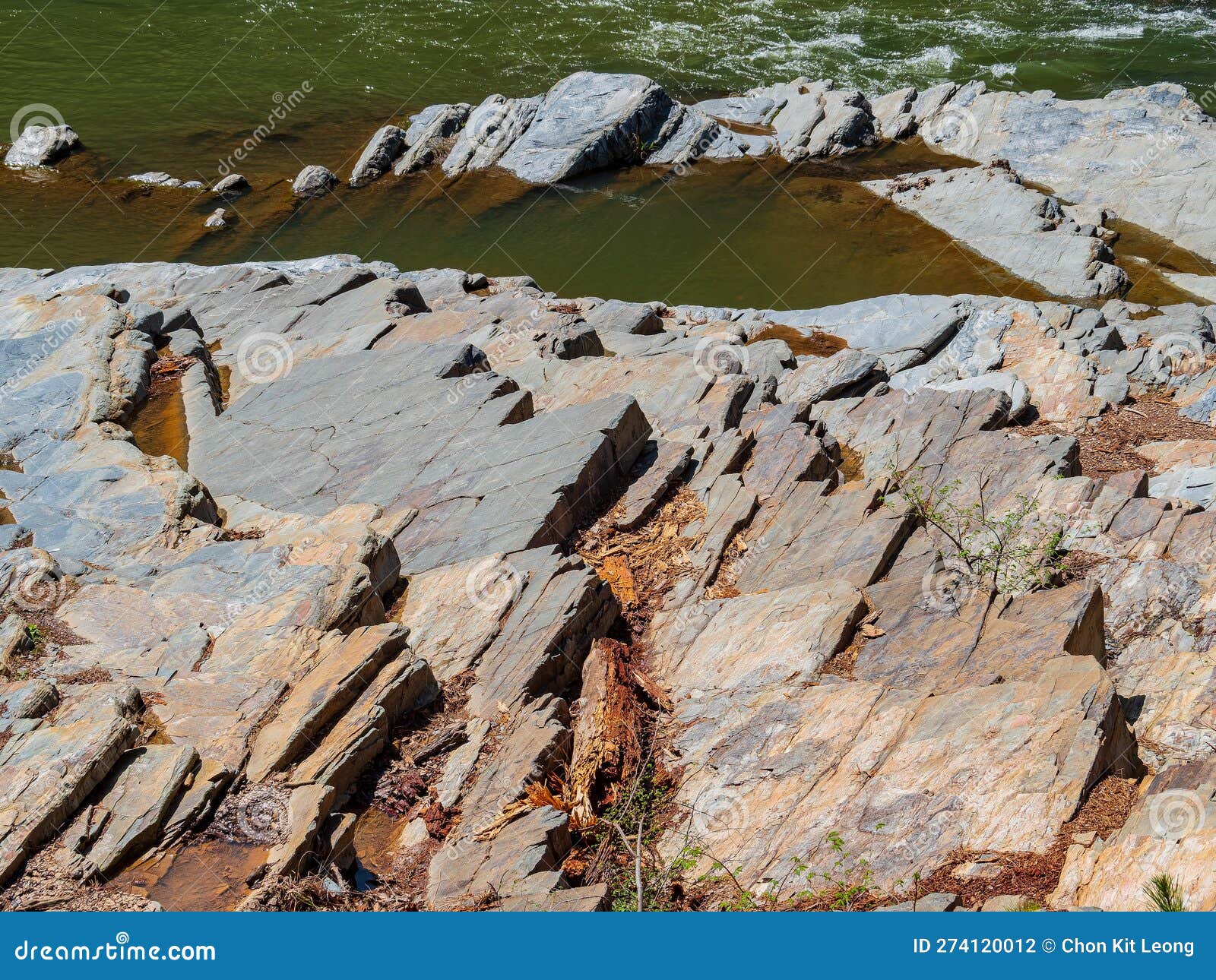 Sunny View of the Landscape of Friends Trail Loop Trail in Beavers Bend