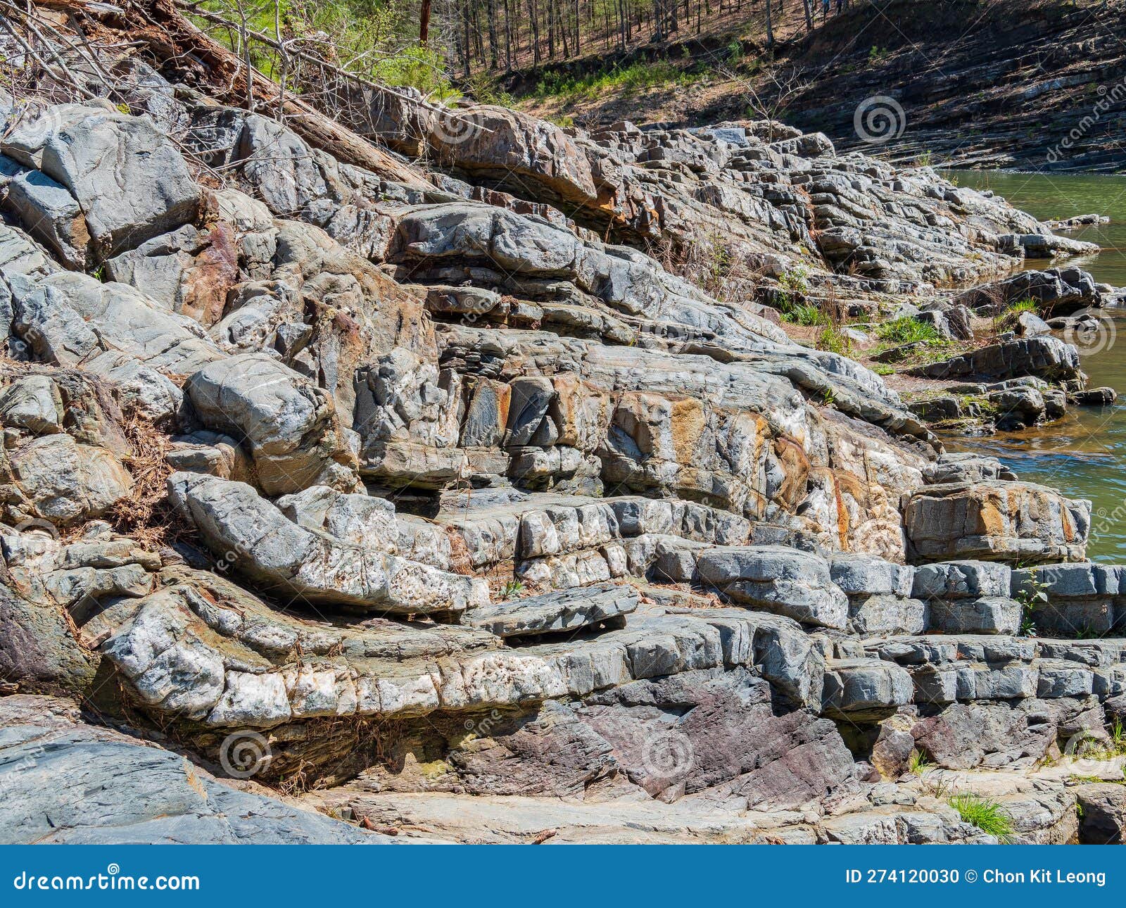 Sunny View of the Landscape of Friends Trail Loop Trail in Beavers Bend