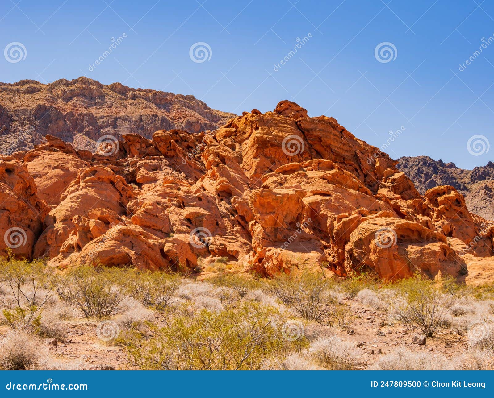 Sunny View of the Landscape of Redstone Park Stock Photo Image of