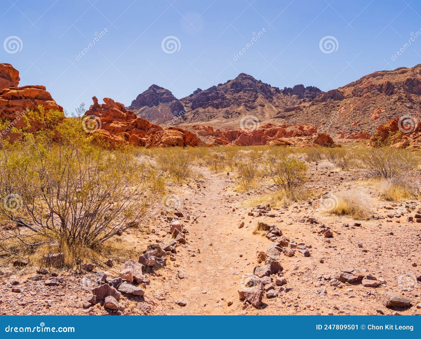 Sunny View of the Landscape of Redstone Park Stock Image Image of
