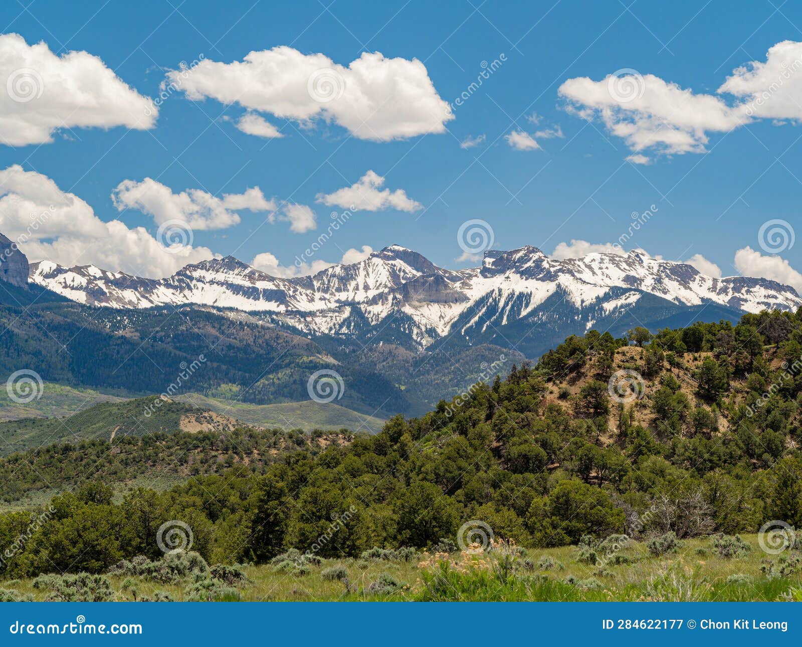 Sunny View of Landscape of Ridgway State Park Stock Image Image of
