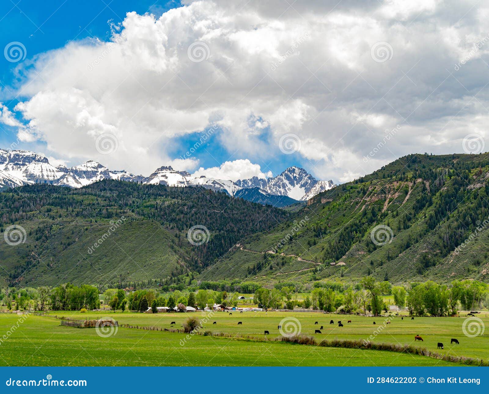 Sunny View of Landscape of Ridgway State Park Stock Photo Image of