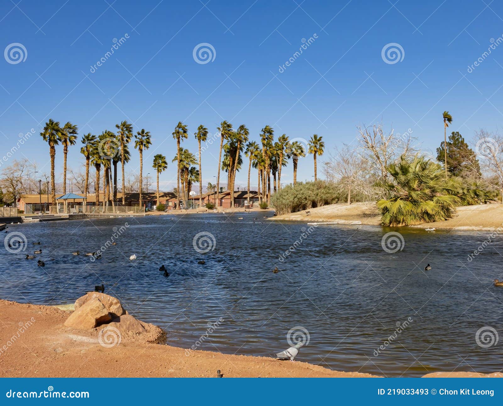 Sunny View of the Lorenzi Park Stock Image Image of 2021, exterior
