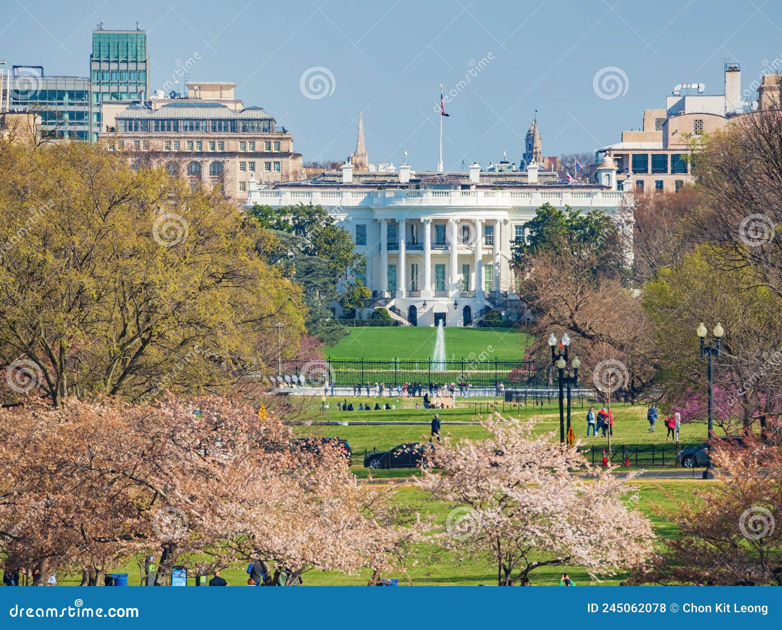 Sunny View of the White House with Cherry Blossom Editorial Stock Photo