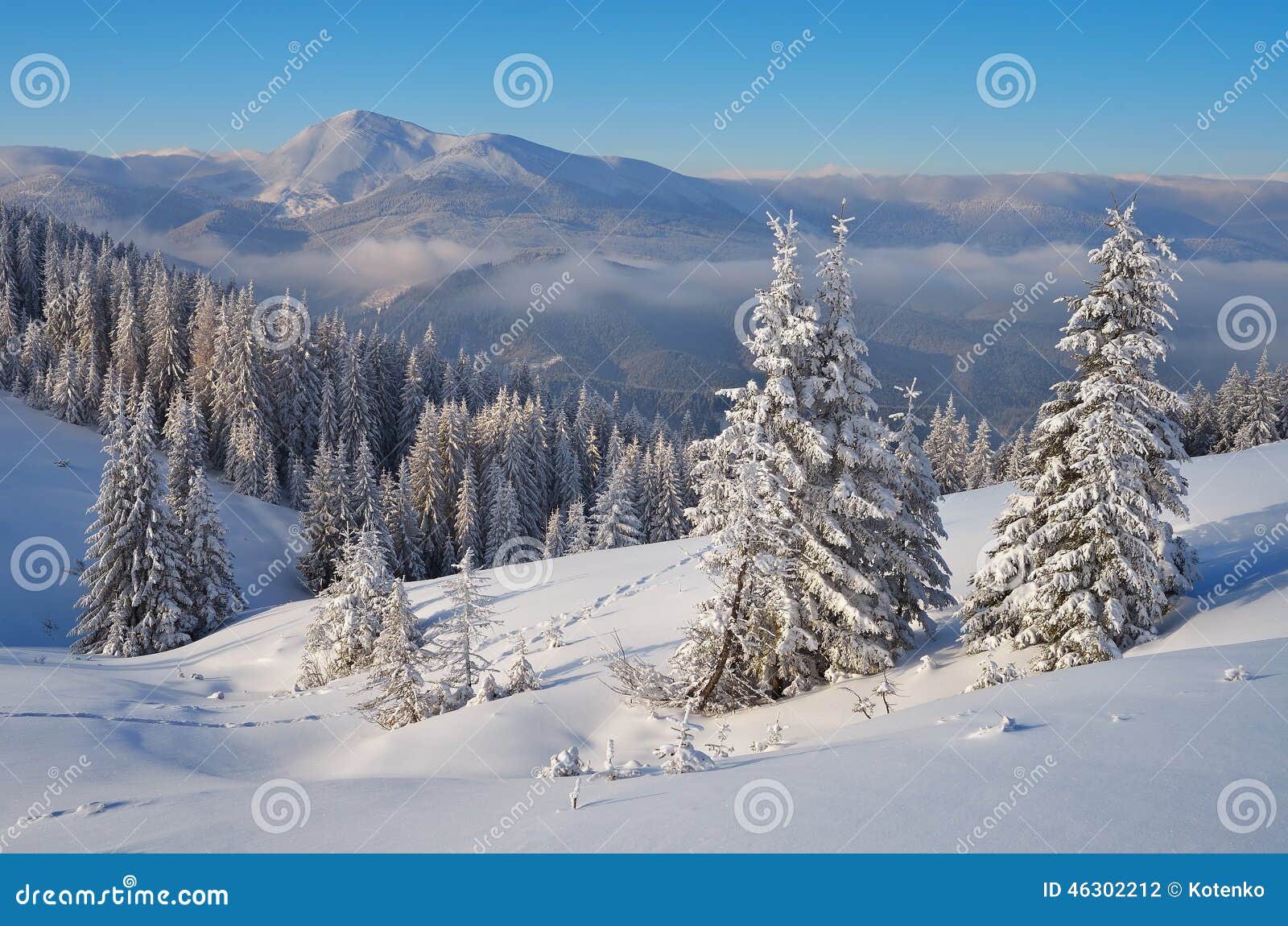 Sunny Winter Landscape. Paisagem da montanha Dia de inverno ensolarado Carpathians, Ucrânia, Europa