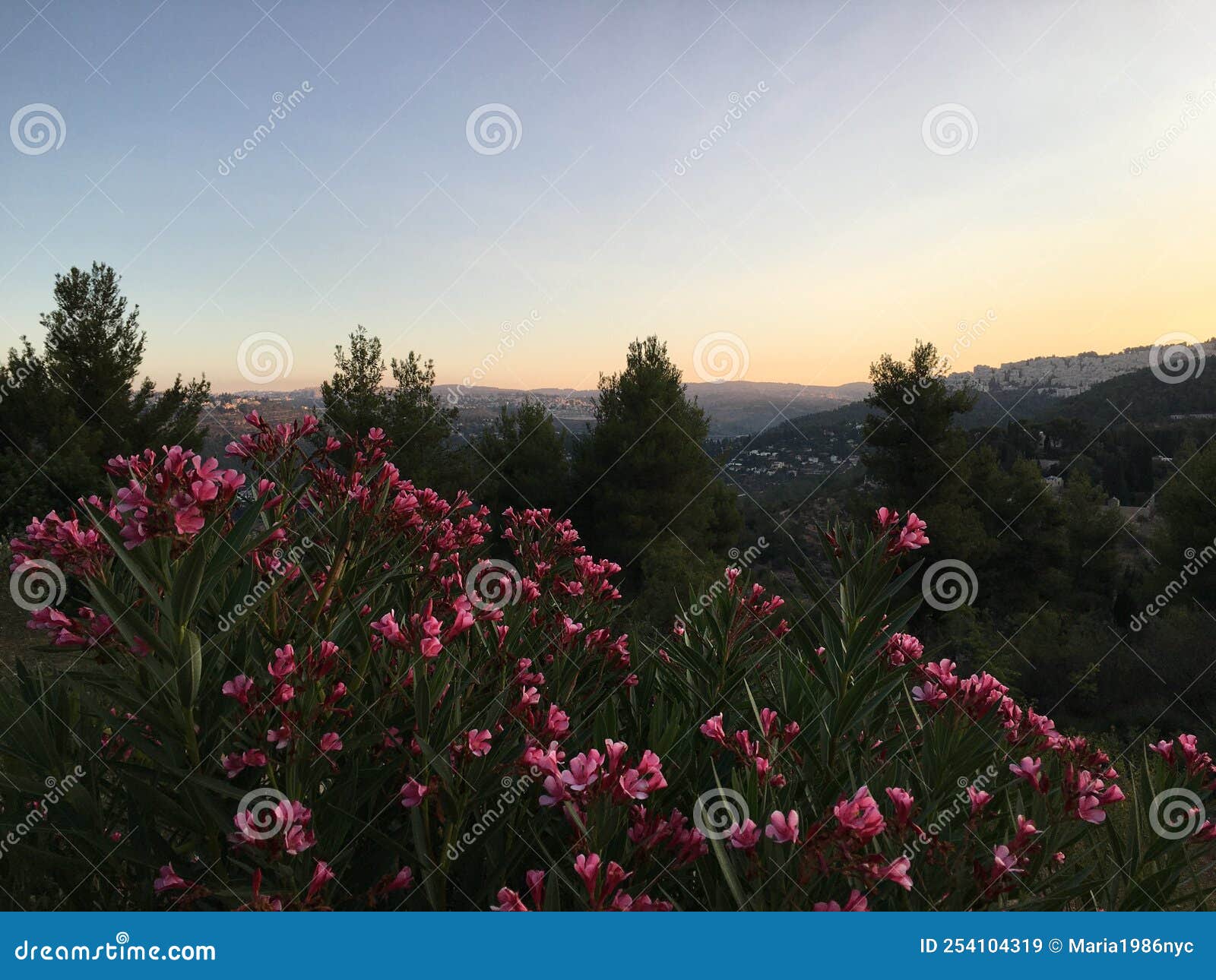 Sunrise in August in Jerusalem, Israel. Stock Image Image of summer