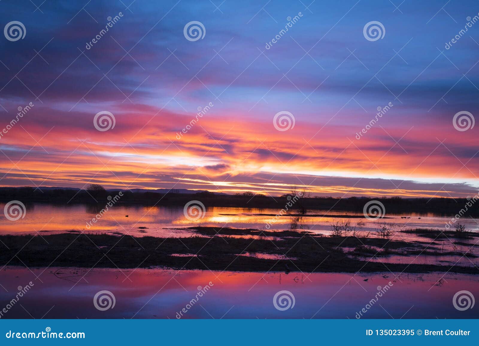 sunrise at bosque del apache, new mexico