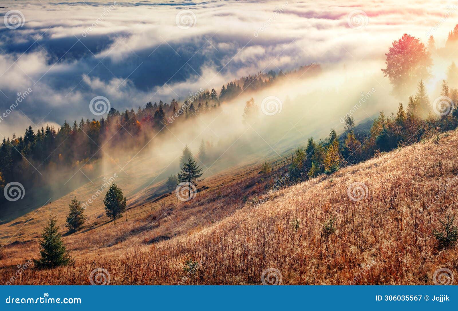 foggy autumn scene of mountain valley. Ãâ¢hick fog creeps up on the rolling hills, ukraine, europe.