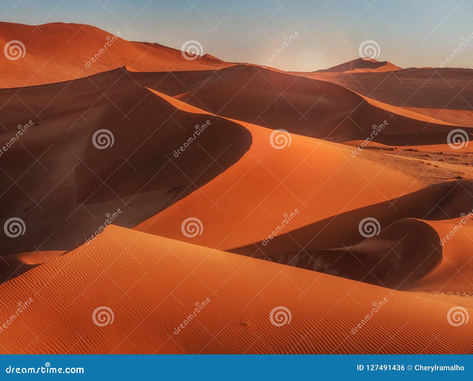 Sunrise On The Red Sand Dunes
