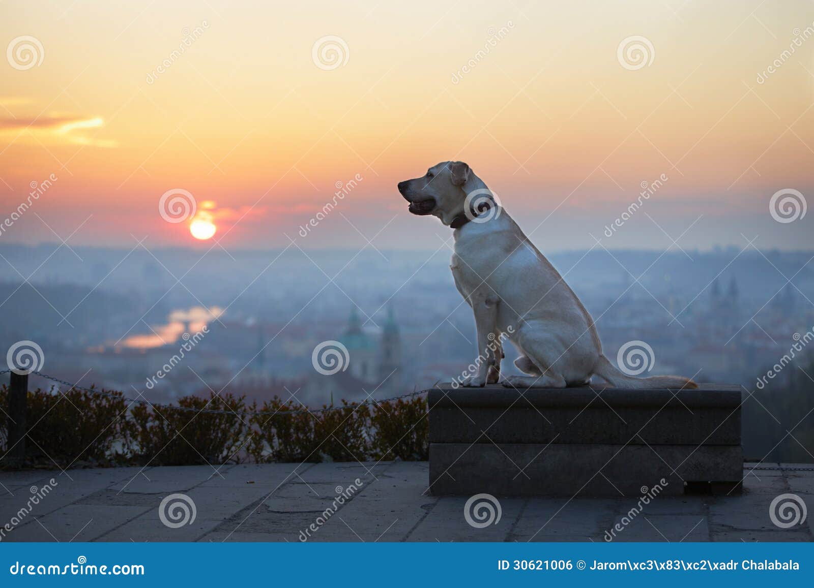 Sunrise in the city stock photo. Image of lifestyles 30621006