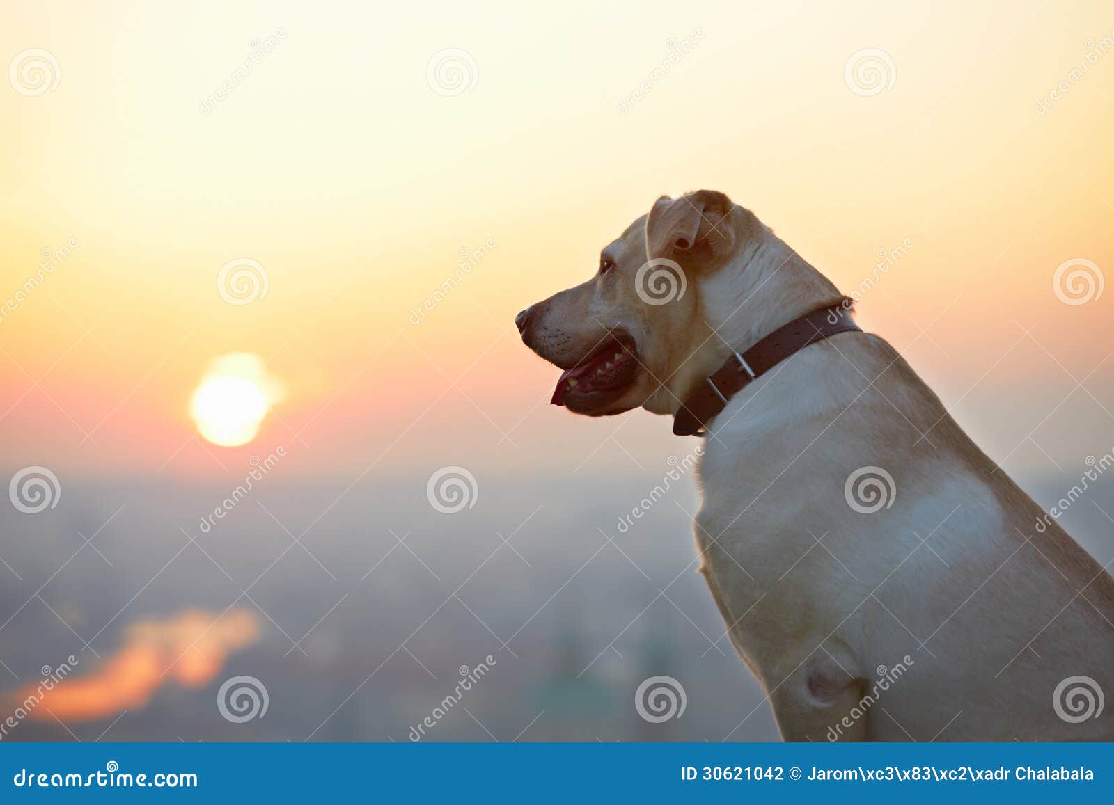 Sunrise in the city stock photo. Image of loyal, looking 30621042