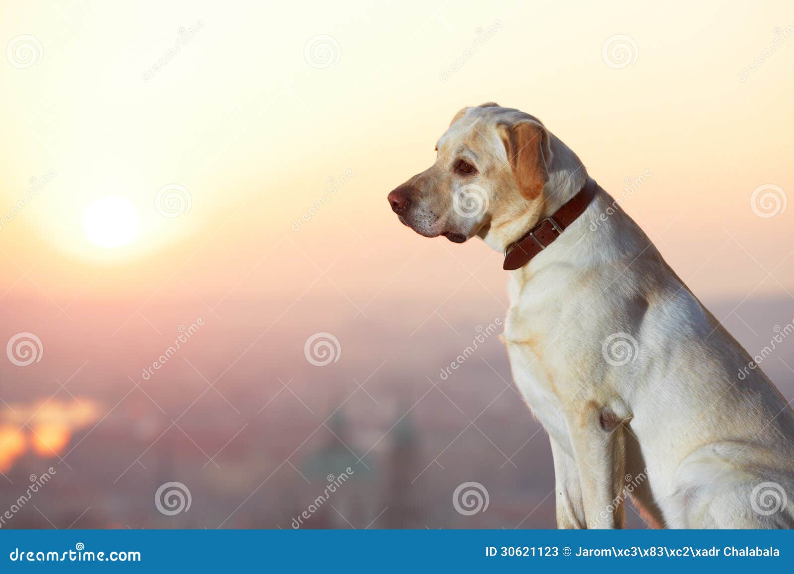 Sunrise in the city stock image. Image of lifestyles 30621123