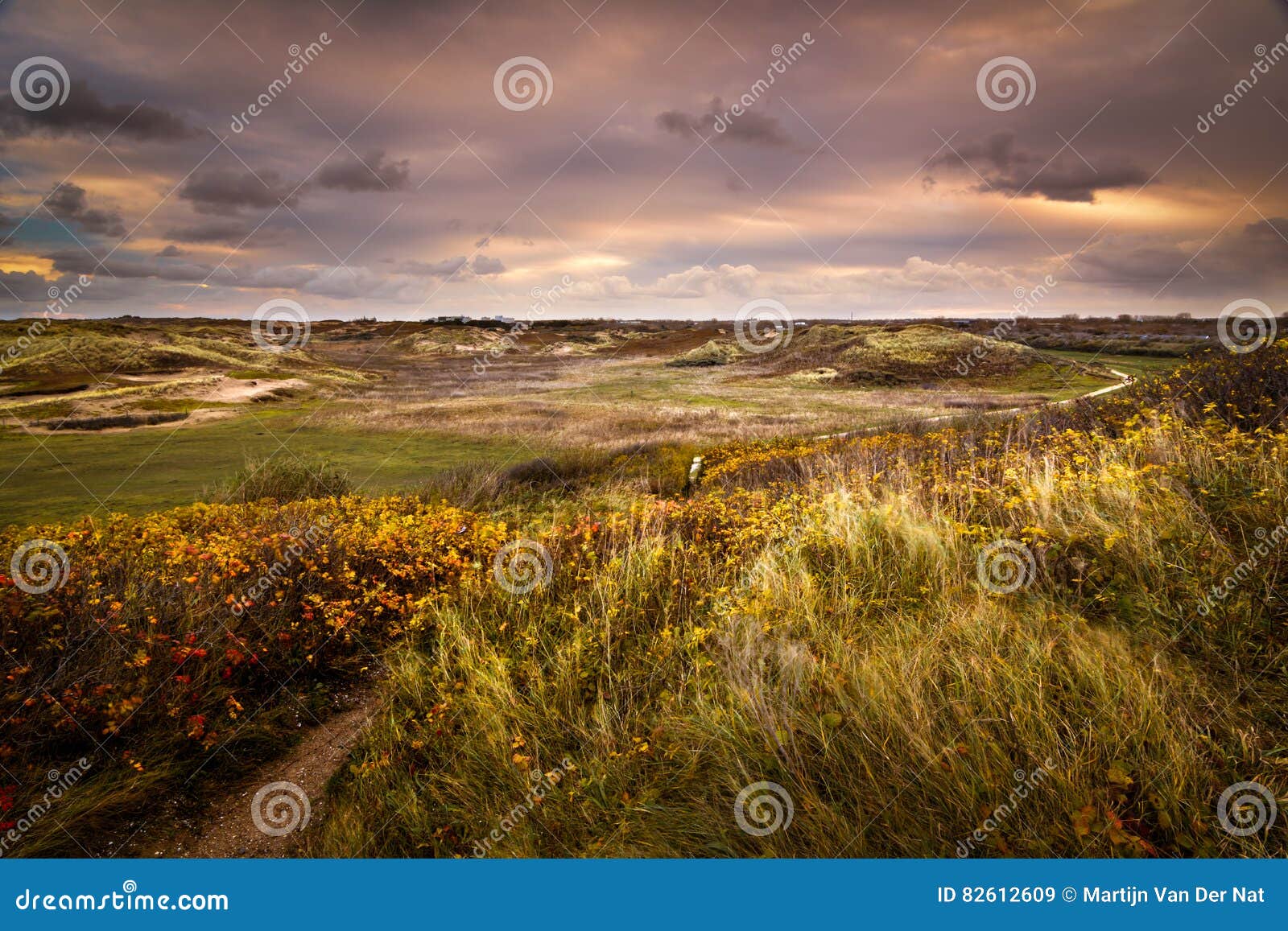Sunrise in the Dunes of Katwijk Stock Image Image of landscape