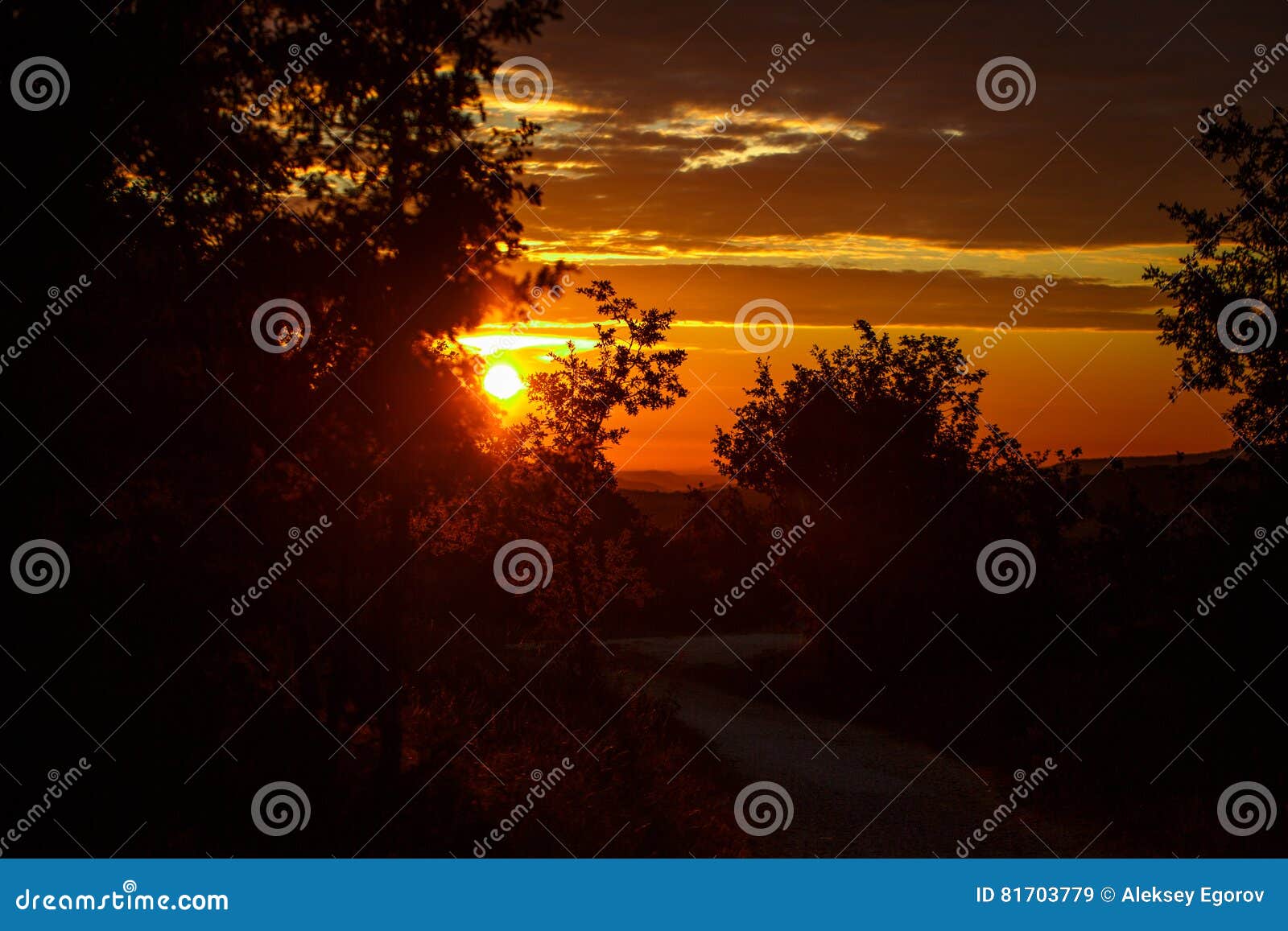 Sunrise in the Early Morning Stock Image - Image of evening, shine ...