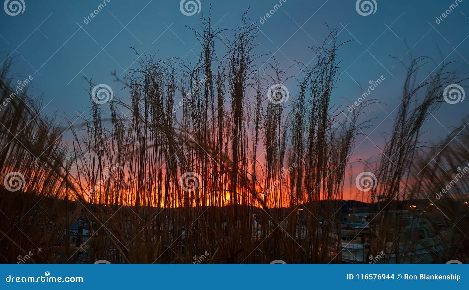 Sunrise filter stock photo. Image of sunrise, nature 116576944