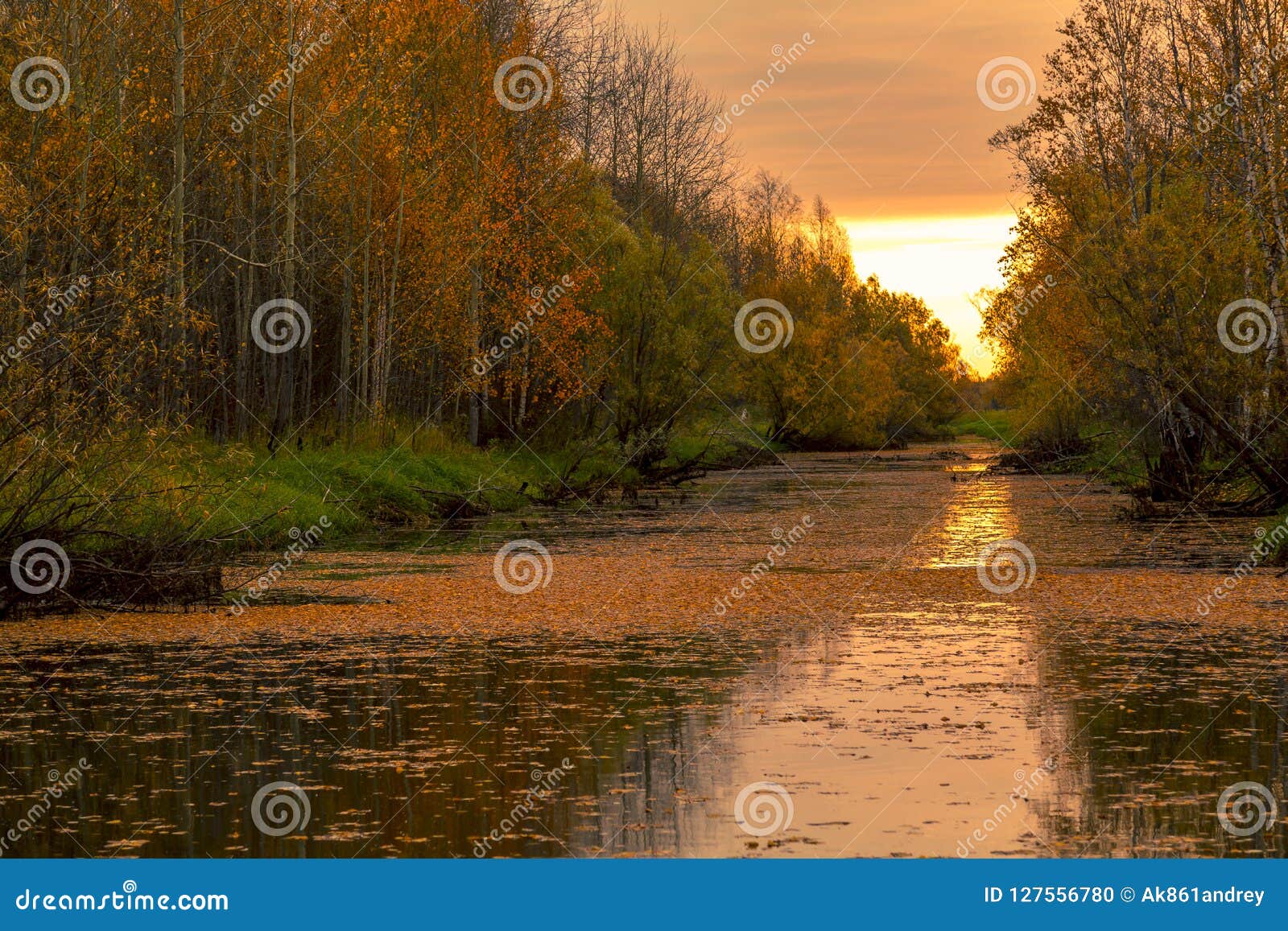 Sunrise By The Forest River In Late Autumn Stock Photo Image Of Birch