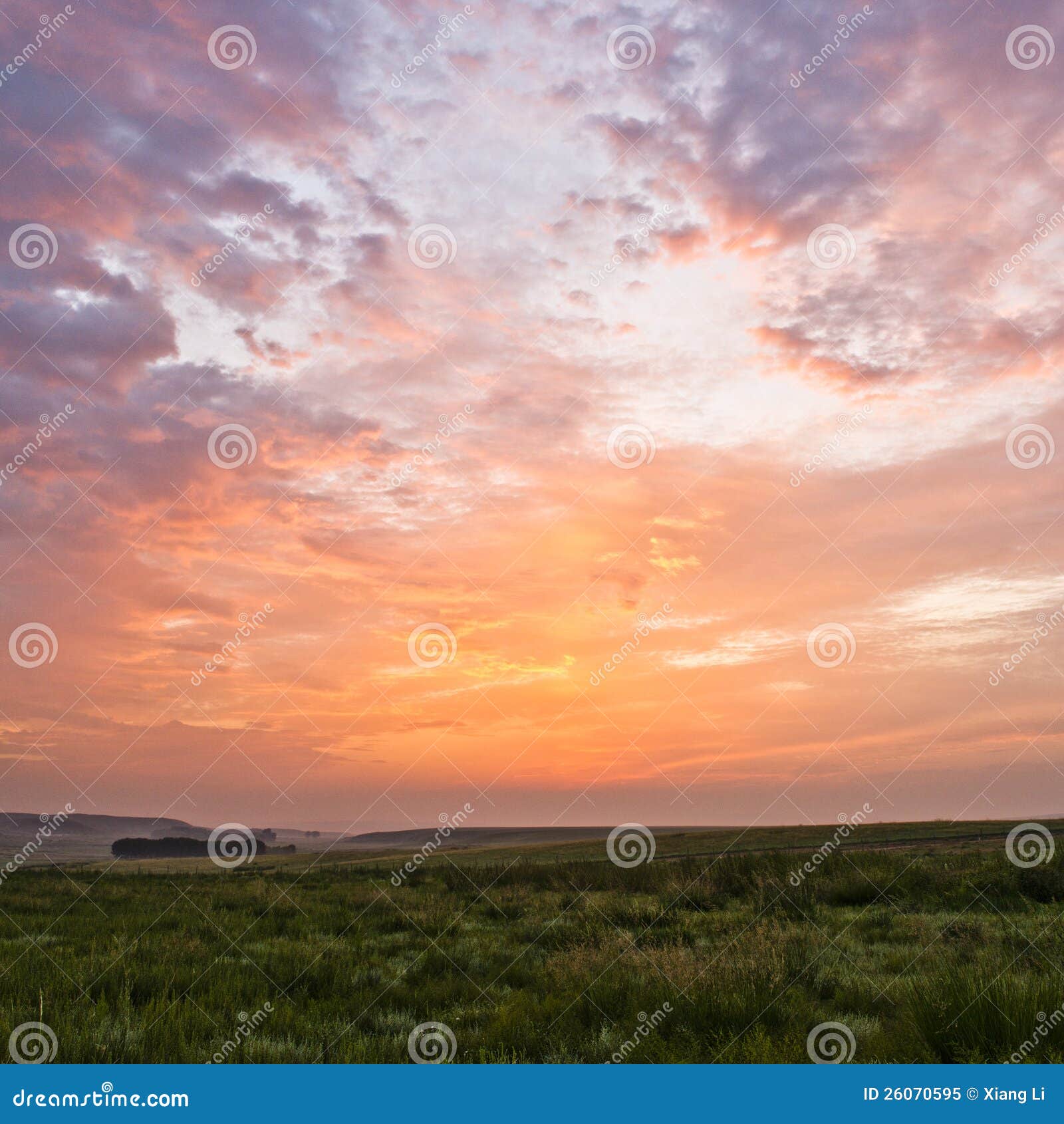 sunrise and grassland