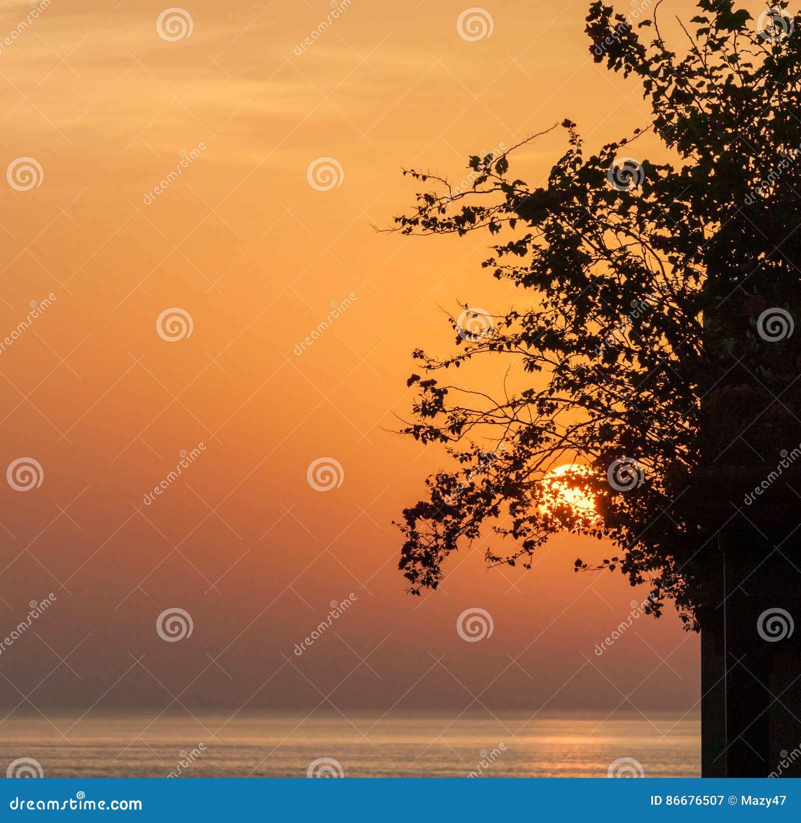 Sunrise at Indian Ocean / Fujairah UAE Stock Image - Image of tree ...