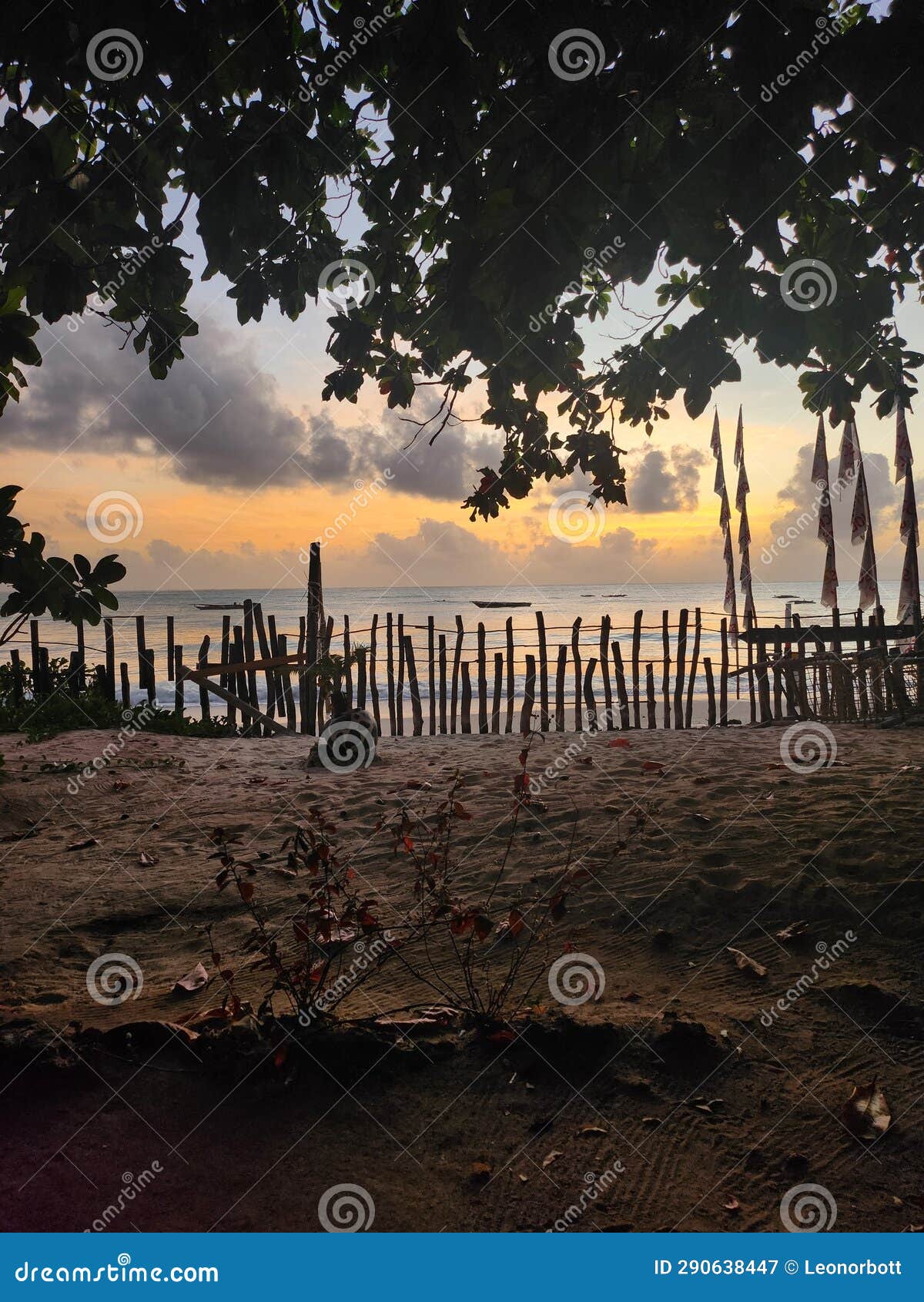 Sunrise Jambiani Beach Zanzibar Stock Image Image of beach, jambiani