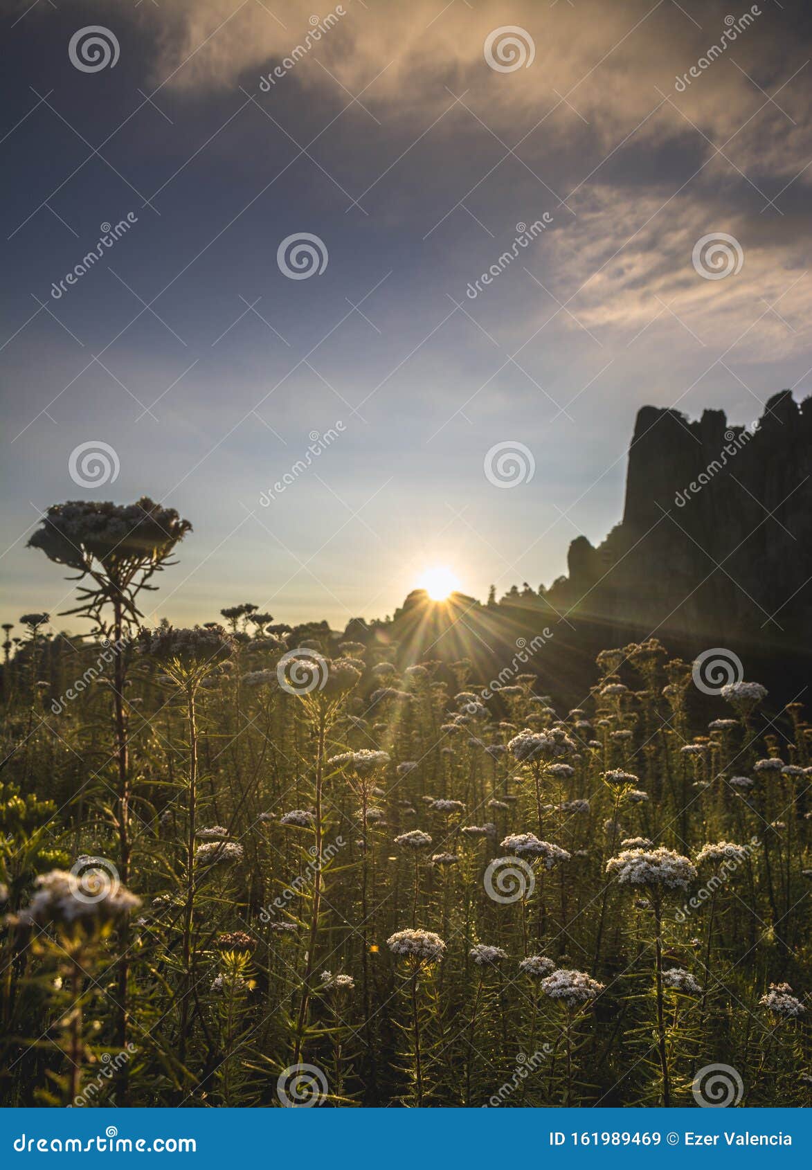 sunrise in mexican landscape