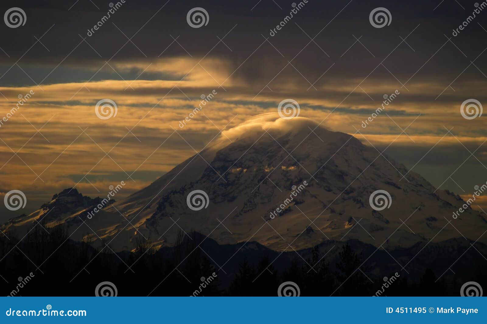 Sunrise on Mt. Rainier v1 stock image. Image of trees 4511495