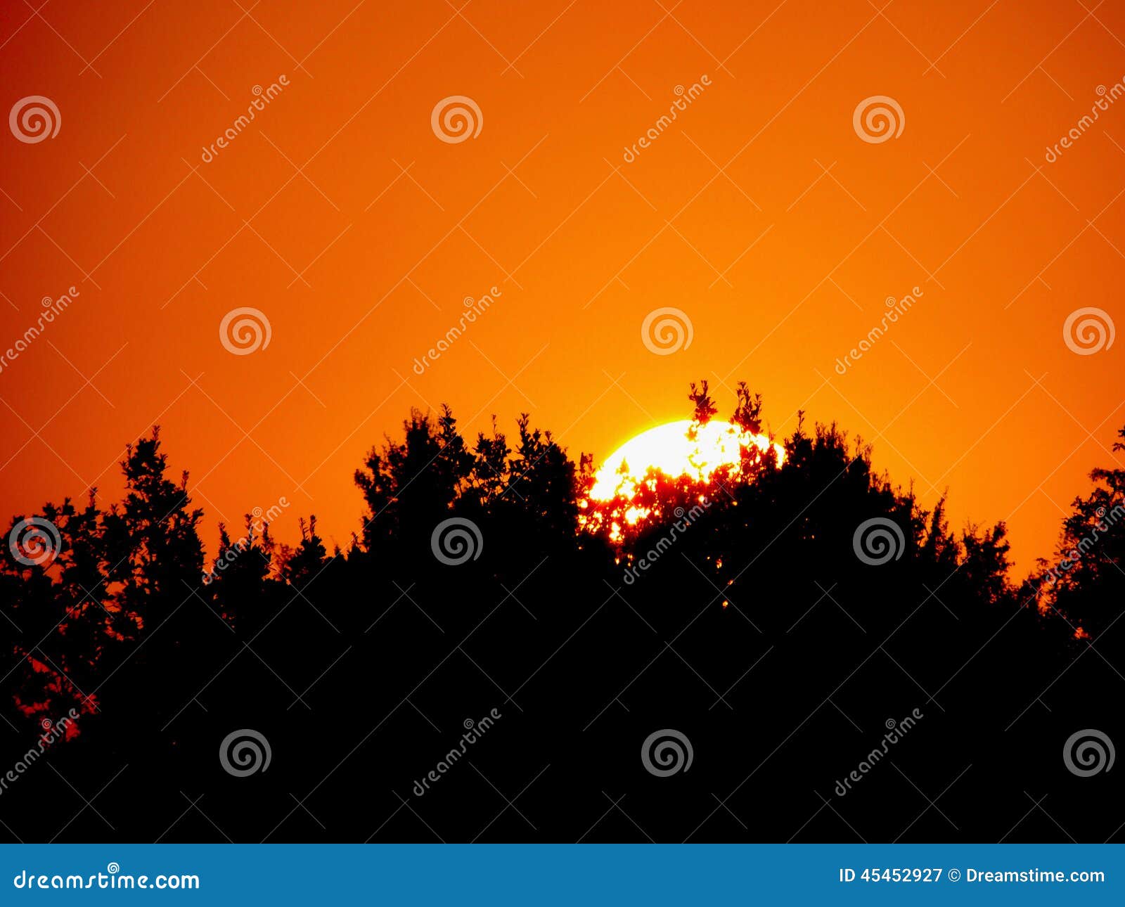 sunrise with orange sky