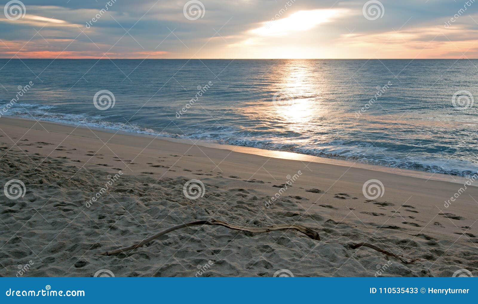 sunrise over driftwood on beach in san jose del cabo in baja california mexico