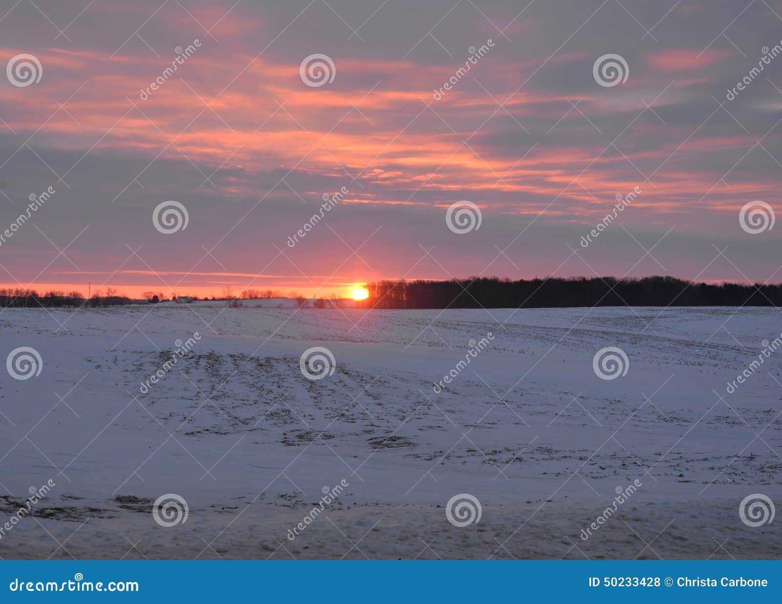 Sunrise Over Field In Wintertime With Snow Stock Photo Image Of